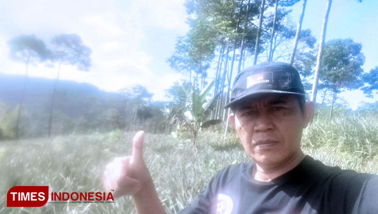 Karsono dan lahan buah nanas madunya di daerah Karangreja Kabupaten Purbalingga. (FOTO: Karsono for TIMES Indonesia)