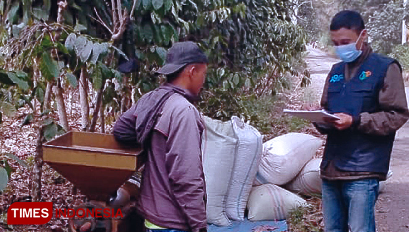 Petugas Sensus Penduduk mendatangi petani kopi di wilayah Kelurahan Pelang Kenidai, Kecamatan Dempo Tengah. (Foto: Asnadi/ TIMES Indonesia)
