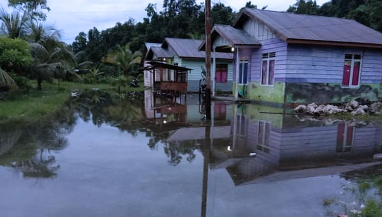 Sejumlah rumah warga di Halteng yang terendam air karena banjir dan kondisi jalan utama di Halut. (Foto: TAGANA Malut for TIMES Indonesia).