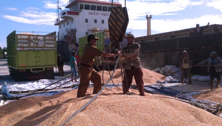 Bupati beserta jajaran pemerintah Kabupaten Touna saat melwpas ekspor jagung ke Filipina di Pelabuhan Mantangisi. (FOTO: Kementan RI).