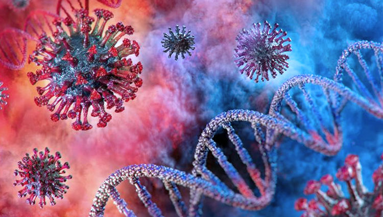 Ilustrasi - Virus Corona atau Covid-19. (FOTO: Shutterstock)