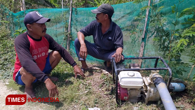 Optimalisasi Alsintan pompa air untuk mempertahankan afar tetap bisa tanam padi. (FOTO: AJP TIMES Indonesia)