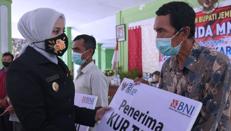 Bupati Jember dr Faida secara simbolis membagikan Kartu Tani kepada petani Jember. (Foto: Humas Pemkab Jember for TIMES Indonesia)