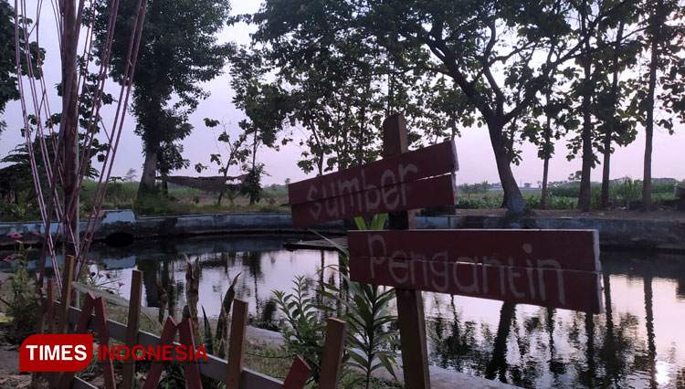 Situs budaya Sumber Pengantin di Jogoroto, Jombang. (Foto: Rohmadi/TIMES Indonesia)