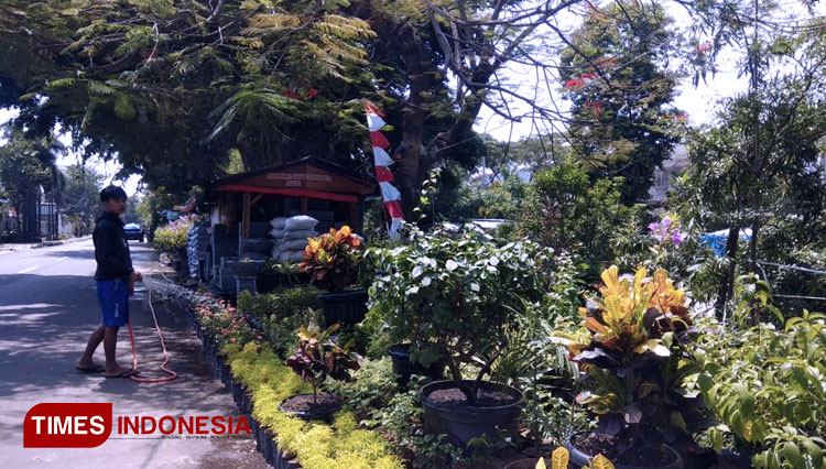 Jual tanaman Hias yang kini banyak ditemukan di Jakarta. Yang dampaknya sangat baik untuk lingkungan. (FOTO: Dok TIMES Indonesia)