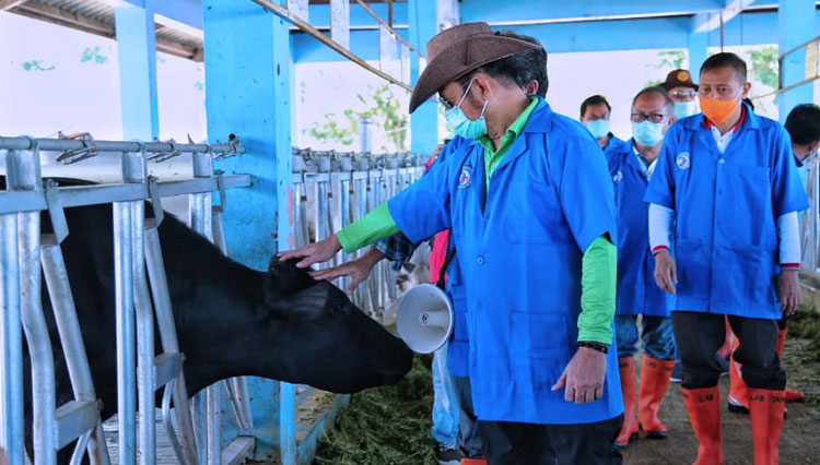 Mentan RI Syahrul Yasin Limpo saat meninjau proses Inseminasi Buatan (IB) sapi lokal dan internasional di laboratorium dan kandang utama Balai Embrio Ternak (BET) Cipelang, Bogor. (FOTO: Humas Mentan RI)