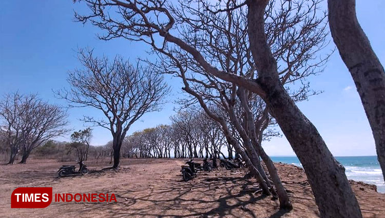 Pantai-Kahuripan-2.jpg