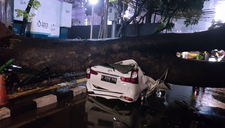 Sebuah mobil di kawasan Menteng Jakarta Pusat Tertimpa Pohon disebabkan oleh hujan angin yang mengguyur wilayah Jakarta pada Senin (21/9) malam. (Foto: Twitter TMC Polda Metro Jaya)