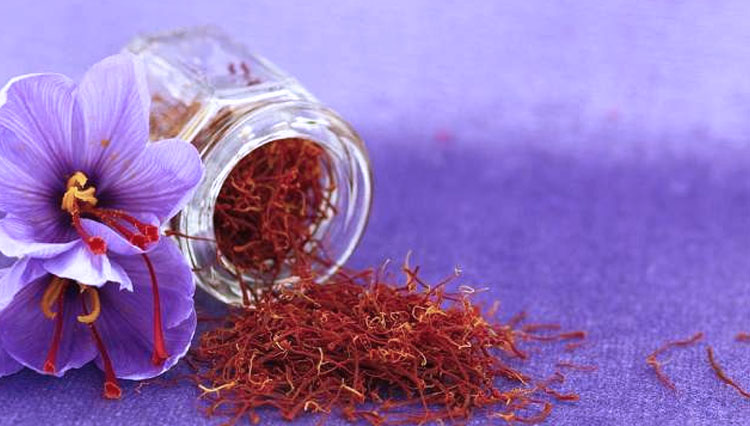 Saffron, one of the world’s most expensive spices. (Photo: Alodokter)