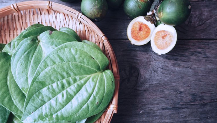 Daun Sirih Obat Tradisional untuk Sakit Mata TIMES Indonesia Daun Sirih Obat Tradisional untuk Sakit Mata TIMES Indonesia