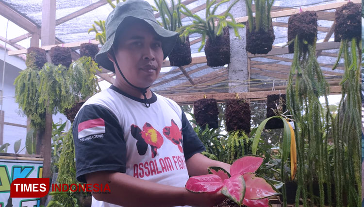 Petani tanaman hias b