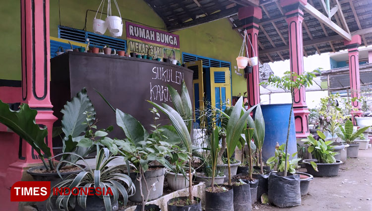 Rumah bunga mekarsari milik Ahmad Setyo Hadi di Desa Badang, Kecamatan Ngoro, Kabupaten Jombang (FOTO: Rohmadi/TIMES Indonesia)
