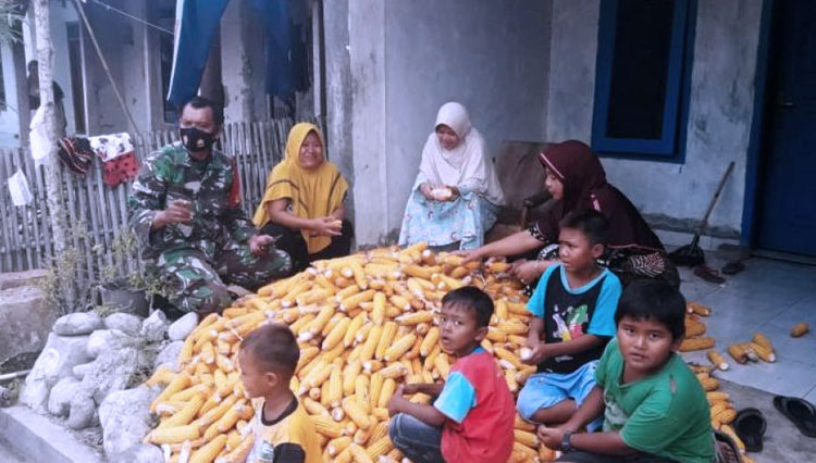 Apresiasi para petani jagung asal Desa Kalinusu, Kecamatan Bumiayu, Kabupaten Brebes, Jawa Tengah, terhadap pembangunan jalan TMMD Reguler 109 Kodim 0713 Brebes (FOTO: ajp.TIMES Indonesia)