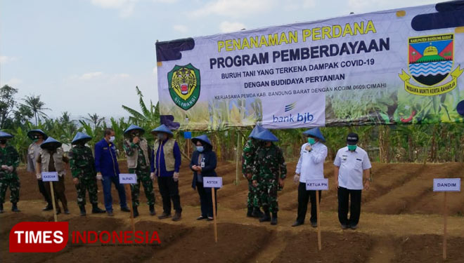 Bantuan lahan yang disiapkan bagi petani Kabupaten Bandung Barat yang terdampak Covid-19. (FOTO: Saifal/ TIMES Indonesia)