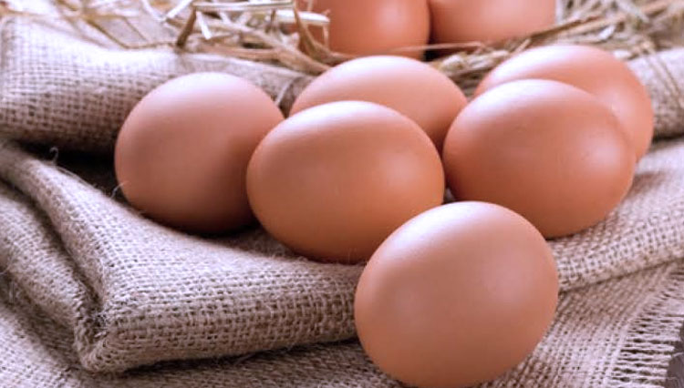 Telur bisa mengembalikan stamina setelah Bercumbu. (FOTO: Suara.com)