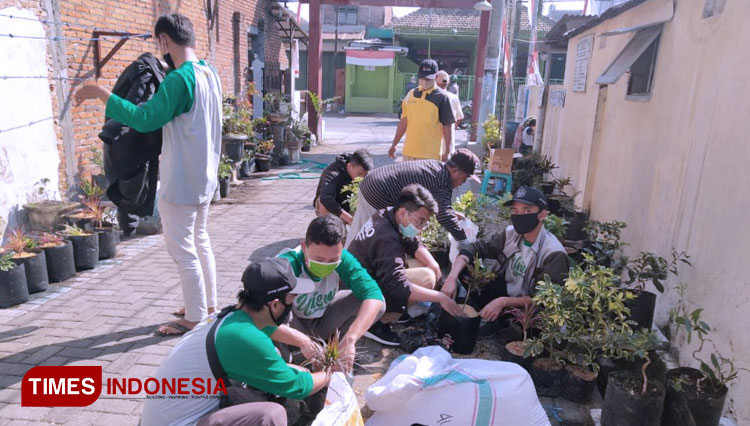 Mahasiswa KKN Unisma menanam tanaman hias disekitaran gapura Dusun Kedoyo. (FOTO: AJP TIMES Indonesia)