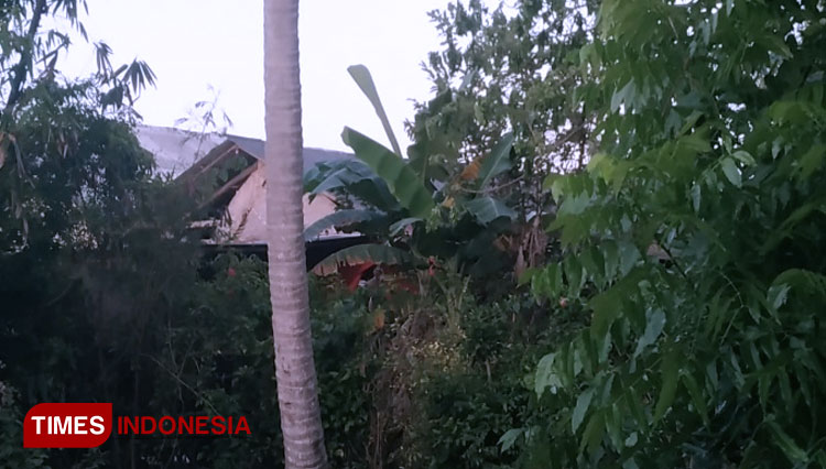 Kandang Ayam