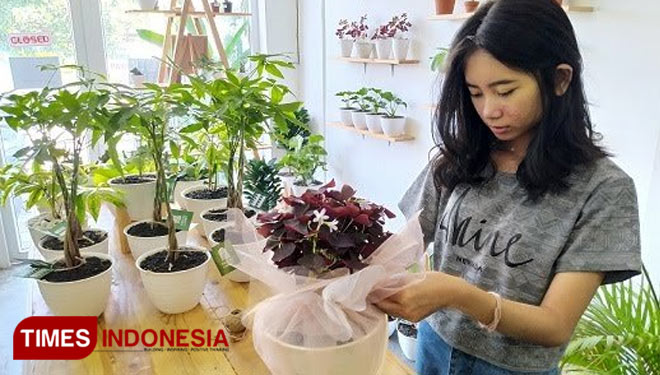 Baradhika, the owner of Plant Shop Kebun Langit pose with several of her favorite plants. (Photo: Eko Santoso for TIMES Indonesia)