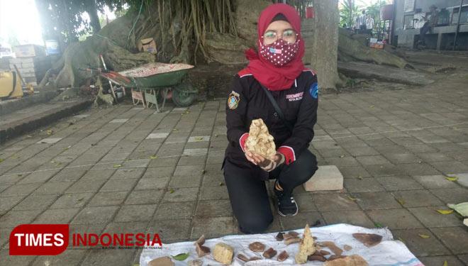 Fragmen Arca temuan BPCB Jatim dalam Ekskavasi Candi Gedog Blitar, Senin (12/10/2020).(Foto: Sholeh/TIMES Indonesia)