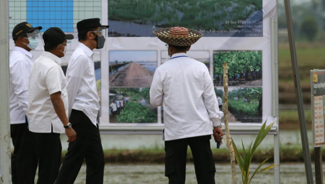 Mentan RI Syahrul Yasin Limpo saat mendampingi Presiden Jokowi meninjau kawasan Food Estate di Kalteng. (FOTO: Kementan RI).