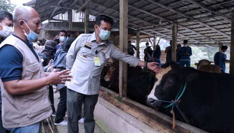 Mentan RI Syahrul Yasin Limpo saat meninjau lokasi Peternakan Kambing, Domba dan Sapi di Yayasan Adzkia, Desa Sukaresmi, Cisaat, Sukabumi, Jawa Barat (FOTO: Kementan RI)