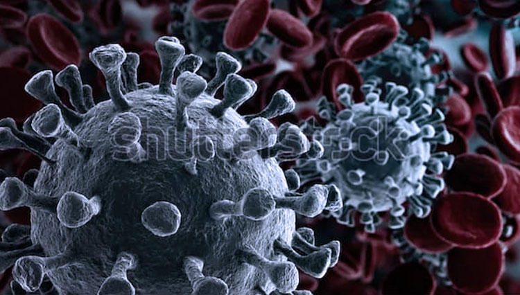 Ilustrasi : Virus Corona (Shutter stock)