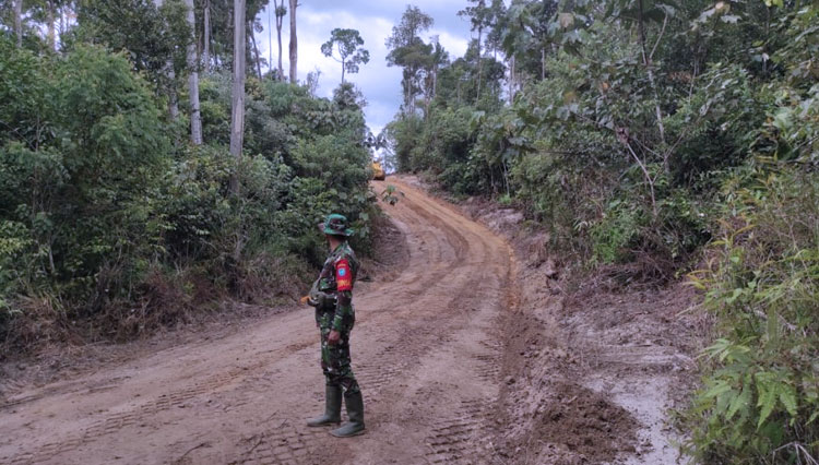 Terobos Hutan Buka Akses Jalan Desa, Proram TMMD 109/ Sintang.