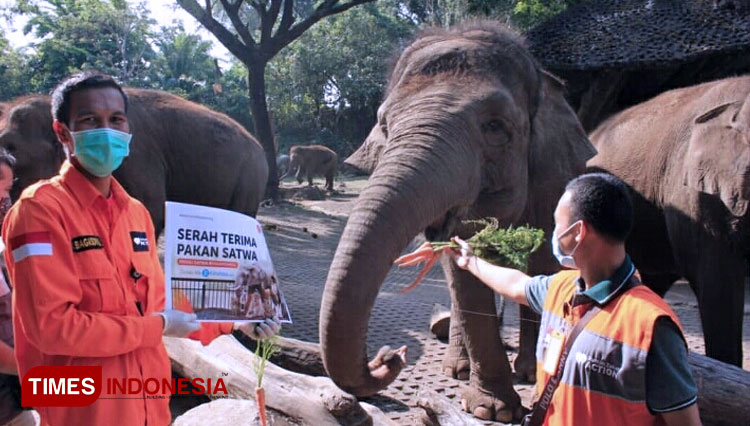 Tim Rumah Zakat memberikan bantuan pakan untuk satwa konservasi Taman Safari Indonesia 2 Prigen. (FOTO: RZ/TIMES Indonesia)