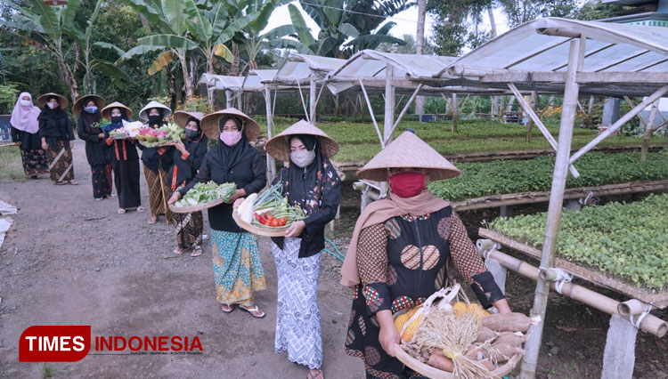 Kelompok Wanita Tani (KWT) Sri Tanjung binaan Dinas Pertanian dan Pangan Banyuwangi menunjukkan hasil panennya (Foto: Rizki Alfian/TIMES Indonesia)