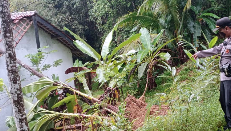 Hujan Deras, Lima Rumah Di Mrebet Rusak Akibat Longsor Dan Tertimpa ...