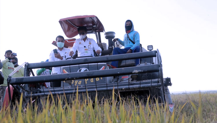 Mentan RI Syahrul Yasin Limpo saat panen padi di Konawe Selatan. (FOTO: Kementan RI)