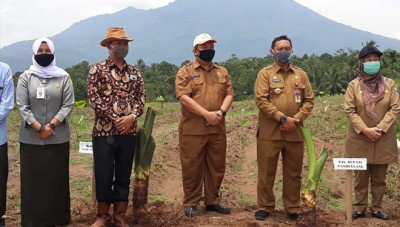 Kementan RI: Kolaborasi Dan Kemitraan, Kunci Pengembangan Agribisnis ...