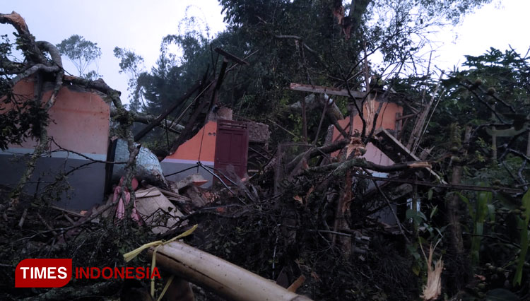 Rumah Mukhisin warga Kampung Pandanarum Desa Giritirta, Pejawaran, Banjarnegara hancur tetimpa pohon beringin. (FOTO : Forkopincam Pejawaran For TIMES Indonesia)