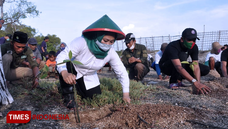 Kartika Hidayati, Cabup Lamongan nomor urut 3 bersama Gemati dan masyarakat menanam seribu pohon mangrove di Pantai Joko Moersodo Desa Lohgung, Kecamatan Brondong, Kabupaten Lamongan, Jawa Timur, Minggu (25/10/2020) (FOTO: Moch. Nuril Huda/TIMES Indonesia