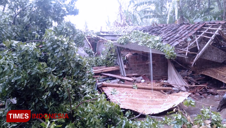 Tampak rumah warga di Desa Sumberanyar Kecamatan Maesan rusak parah ditimpa pohon saat terjadi hujan deras disertai angin kencang (FOTO: Moh Bahri/TIMES Indonesia)