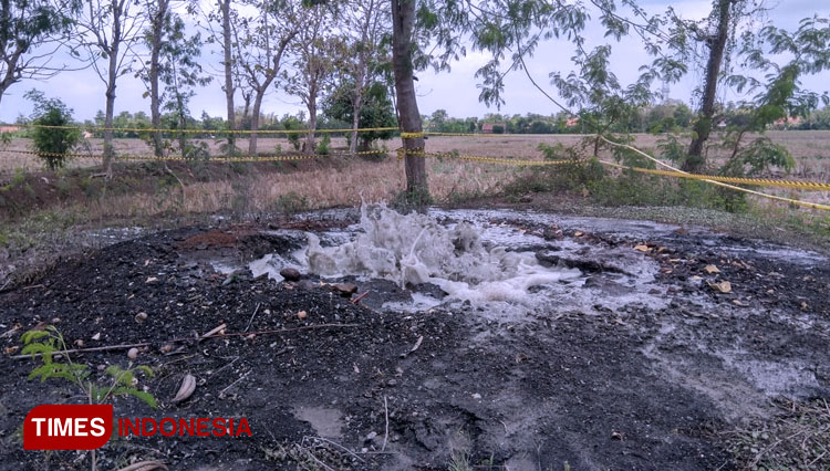 Semburan gas liar yang muncul di area sawah di Indramayu.(Foto: Muhamad Jupri/TIMES Indonesia)