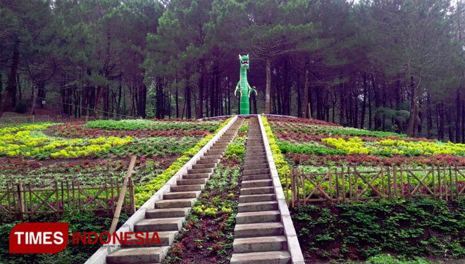 Obyek Wisata Bukit Kanaga (Kanaga Hill) akan digenjot sebagai destinasi wisata baru wilayah Selatan Kabupaten Majalengka. (Foto: Jaja Sumarja/TIMES Indonesia)