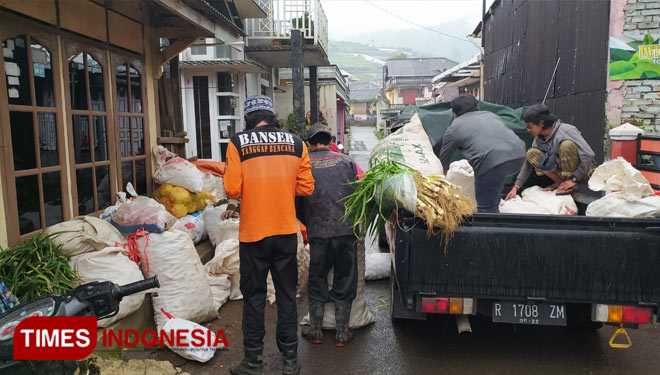 Banser Dieng dan Pejawaran (Banjarnegara) tengah bersiap menyalurkan bantuan sayur mayur kepada korban Banjir di Kebumen. (FOTO: GP Ansor Banjarnegara for TIMES Indonesia)