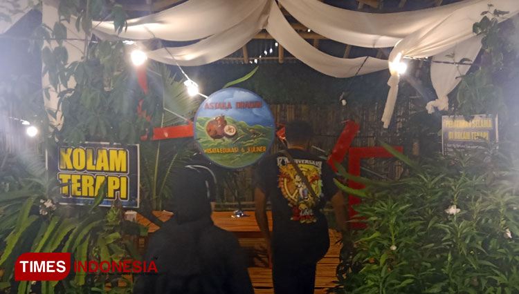 Kebun Buah Naga b