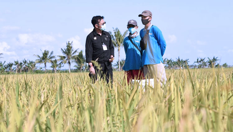 Mentan RI Syahrul Yasin Limpo. (FOTO: Kementan RI)