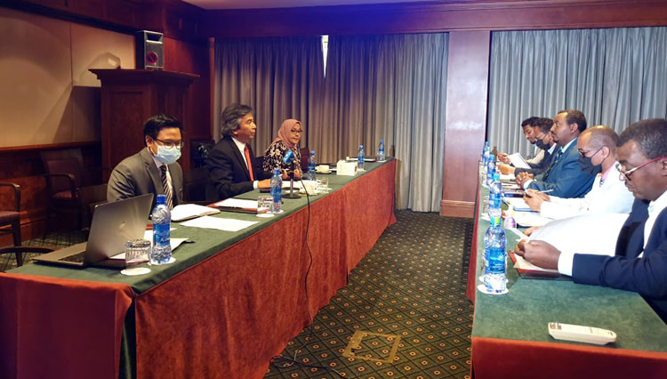 Duta Besar RI untuk Ethiopia Djibouti a