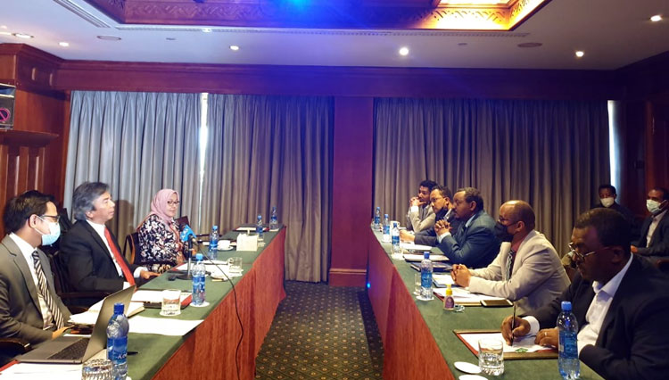 Duta Besar RI untuk Ethiopia Djibouti b