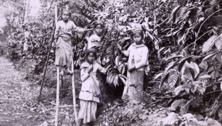 Potret anak-anak petani kopi di Jawa, 1925. (Sumber: KITLV.nl)