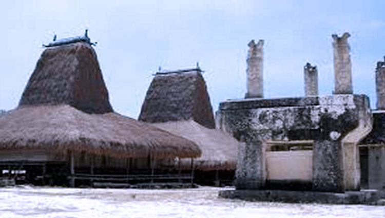 Kampung Praiyawang di Desa Rindi, Kecamatan Rindi, Kabupaten Sumba Timur NTT(FOTO: Habibudin/TIMES Indonesia)