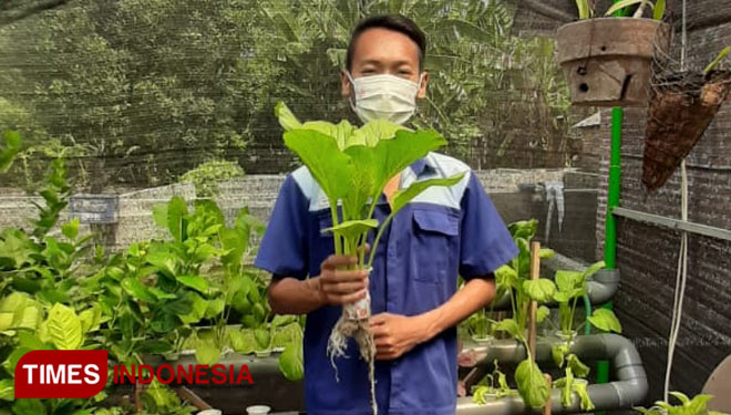Inspiratif, Santri Ponpes Minhajut Tullab Jombang Rintis Usaha Pertanian Hidroponik