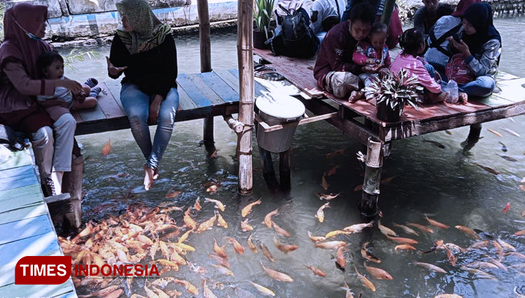 The visitors enjoy playing with fish at Pelang, Tuban, East Java on Sunday (8/11/2020). (Photo: Ikhwan Fahrudi/TIMES Indonesia)