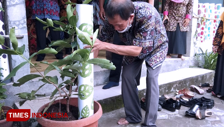 Peluncuran Program 1000 Losida dilakukan oleh Lurah Kelurahan Ganefo Sugiyartono Sidoarum, sekaligus menanam Losida bermotif daun Janda Bolong ke dalam Tabulampot (FOTO: BS GSL for TIMES Indonesia)