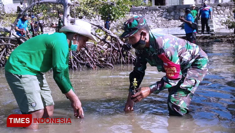 Kodim 0828/Sampang saat melakukan kegiatan penanaman pohon mangrove di pinggiran pantai Taddan Kec. Camplong Kabupaten Sampang, Jumat (13/11/2020). (Foto: Khusnul Hasana/TIMES Indonesia)