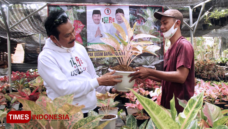 Cabup Qosim saat menyapa pelaku usaha tanaman hias di Kecamatan Driyorejo. (FOTO: Akmal/TIMES Indonesia)