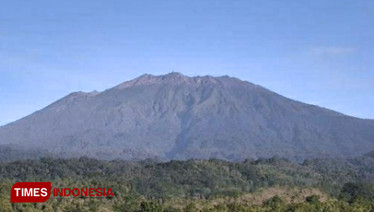 Macan Tutul Gunung Raung Turun ke Ladang Warga di Banyuwangi
